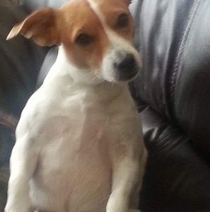 Meet your Posher, Pamela